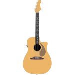 guitarra acustica